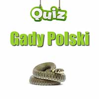 Gady Polski - Quiz