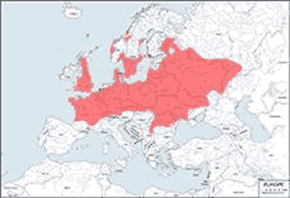 Traszka grzebieniasta – mapa występowania na świecie