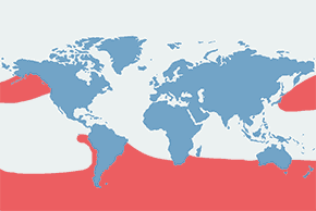 Albatrosy - mapa występowania na świecie