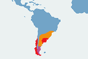 Łabędź czarnoszyi – mapa występowania na świecie