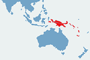 Lorysa górska – mapa występowania na świecie
