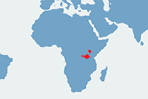 Nierozłączka rudogłowa – mapa występowania na świecie
