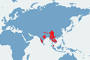 Gaur indyjski – mapa występowania na świecie