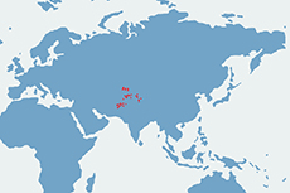 Markur śruborogi – mapa występowania na świecie