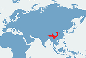 Takin złoty – mapa występowania na świecie