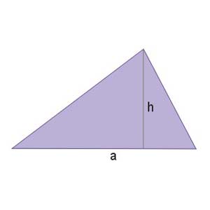 Pole trójkąta — quiz