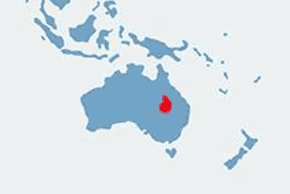 Agama brodata karłowata – mapa występowania na świecie