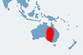 Agama brodata - mapa występowania na świecie