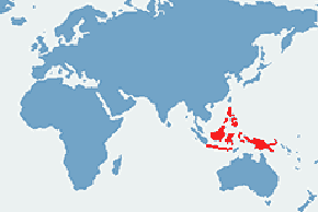 Agama żaglowa - mapa występowania na świecie