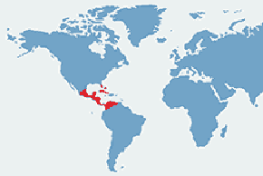 Bazyliszek pasiasty, jaszczurka Jezusa Chrystusa – mapa występowania na świecie