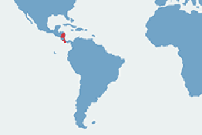 Bazyliszek płatkogłowy - mapa występowania na świecie