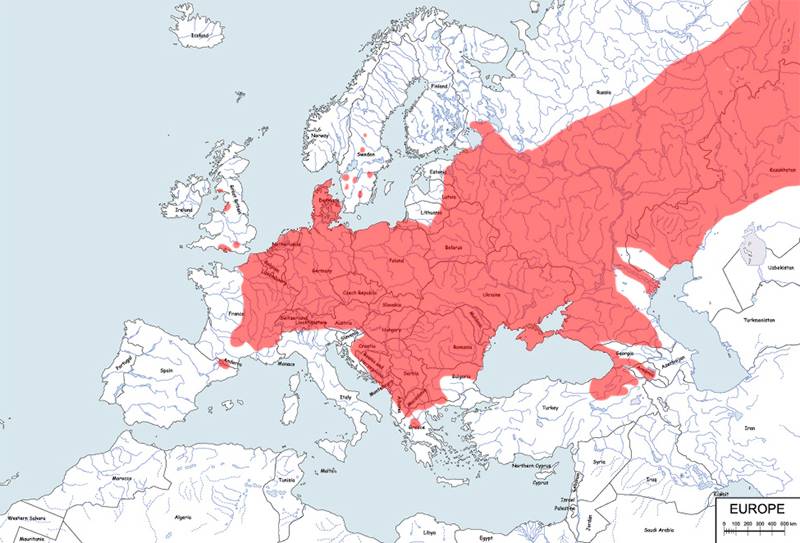 jaszczurka zwinka - mapa