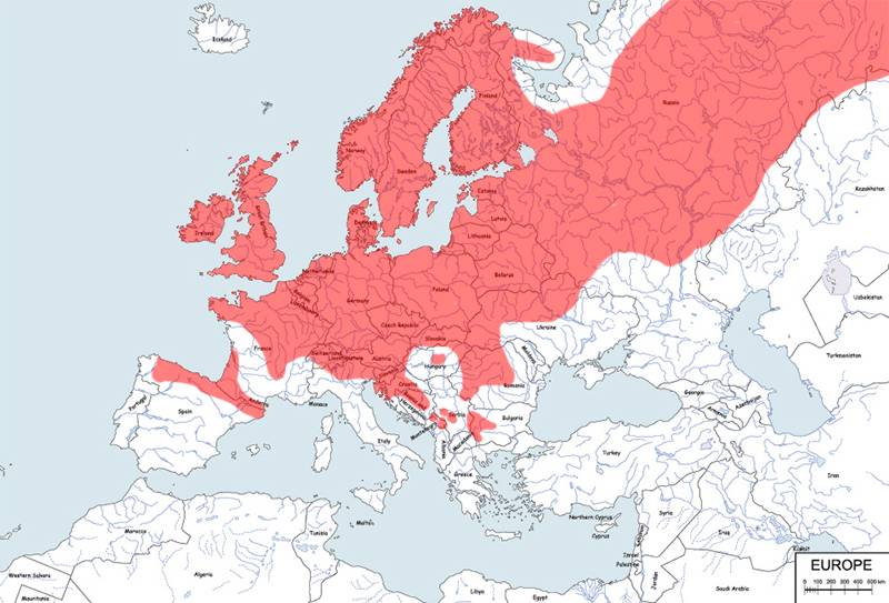 jaszczurka żyworodna - mapa