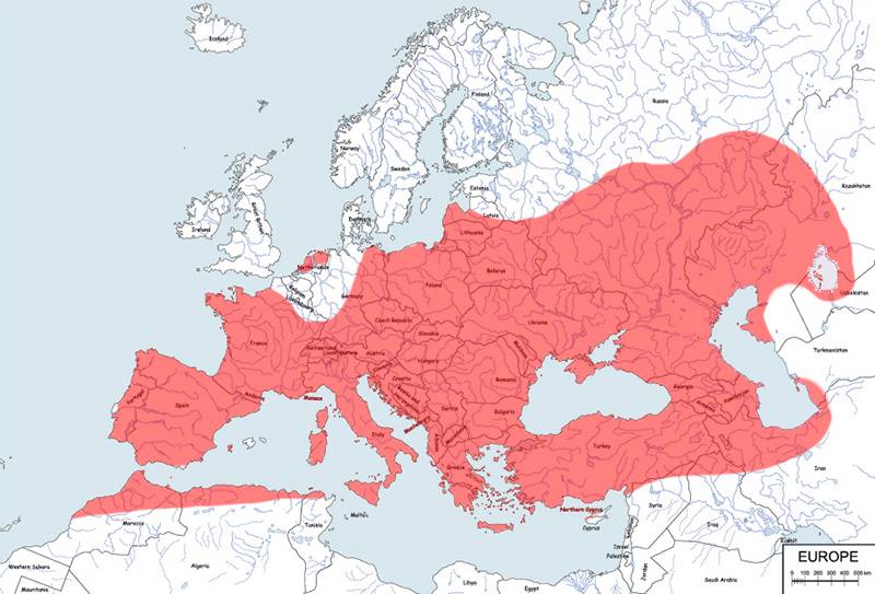 żółw błotny - mapa