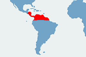 Boa kolumbijski – mapa występowania na świecie