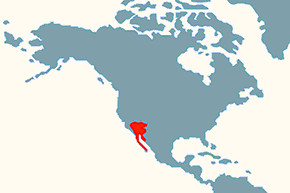 Czakuela - mapa występowania na świecie