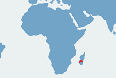 Felsuma standinga – mapa występowania na świecie