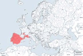 Jaszczurka perłowa – mapa występowania na świecie