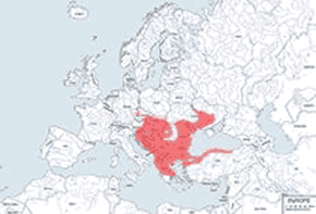 Jaszczurka zielona - mapa występowania na świecie