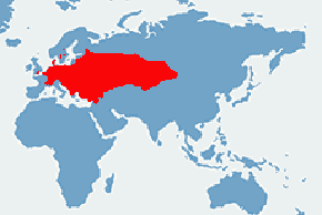 Jaszczurka zwinka - mapa występowania na świecie