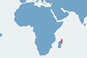 Kameleon lamparci - mapa występowania na świecie