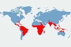 Mapa wystepowania krokodyli na świecie