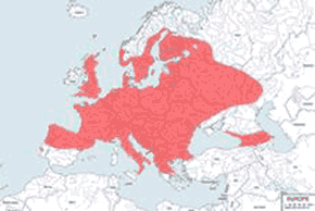 Padalec zwyczajny – mapa występowania na świecie