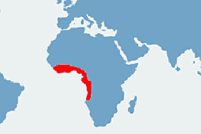 Pelomeduza czarna - mapa występowania na świecie