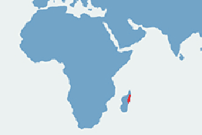 Pelomeduza madagaskarska - mapa występowania na świecie