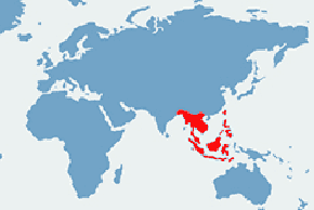Pyton siatkowy - mapa występowania na świecie