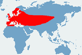 Zaskroniec zwyczajny – mapa występowania na świecie