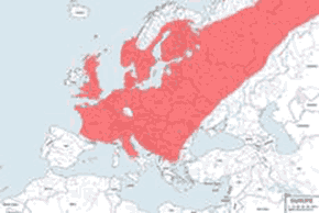 Żmija zygzakowata – mapa występowania na świecie