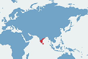 Żółw gwiaździsty – mapa występowania na świecie