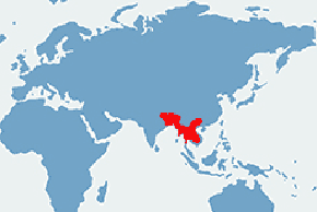 Żółw żółtogłowy - mapa występowania na świecie