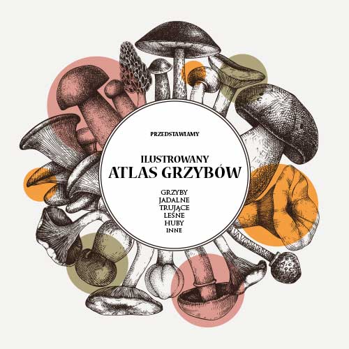 atlas-grzybów