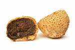 Sclerodermataceae