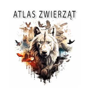 atlas zwierząt