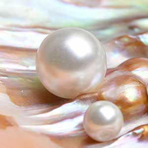 Jak powstają perły?