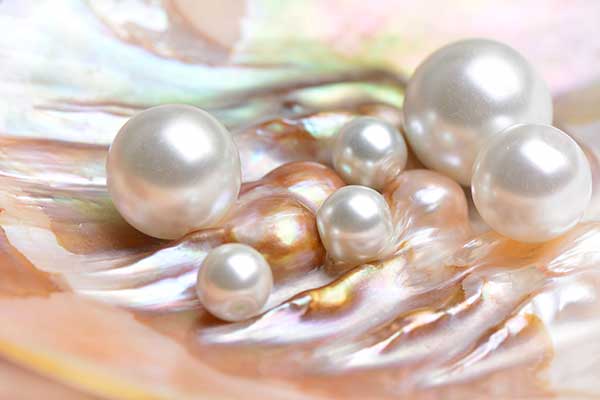 Jak powstaja perły