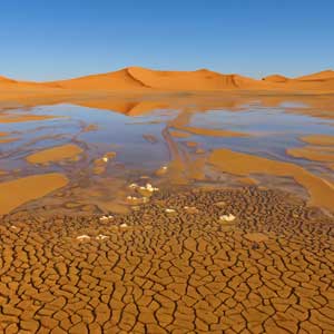 Skąd wziąć wodę na pustyni?