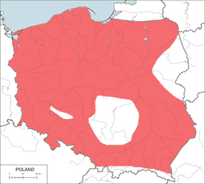 Ciołek matowy – mapa występowania w Polsce
