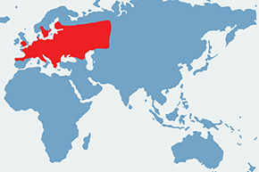 Gadziogłówka pospolita – mapa występowania na świecie