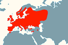 Łunica czerwona – mapa występowania na świecie