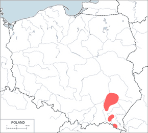 Modliszka zwyczajna - mapa występowania w Polsce