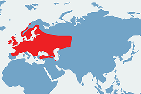 Pałątka pospolita - mapa występowania na świecie
