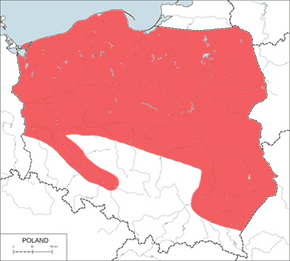 Przeniela dwuplama - mapa występowania w Polsce