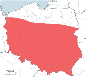 Szafranka czerwona – mapa występowania w Polsce