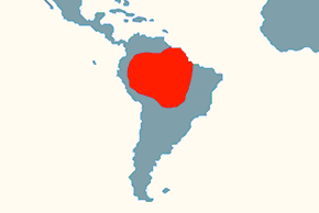 Amazońska żaba rogata – mapa występowania na świecie