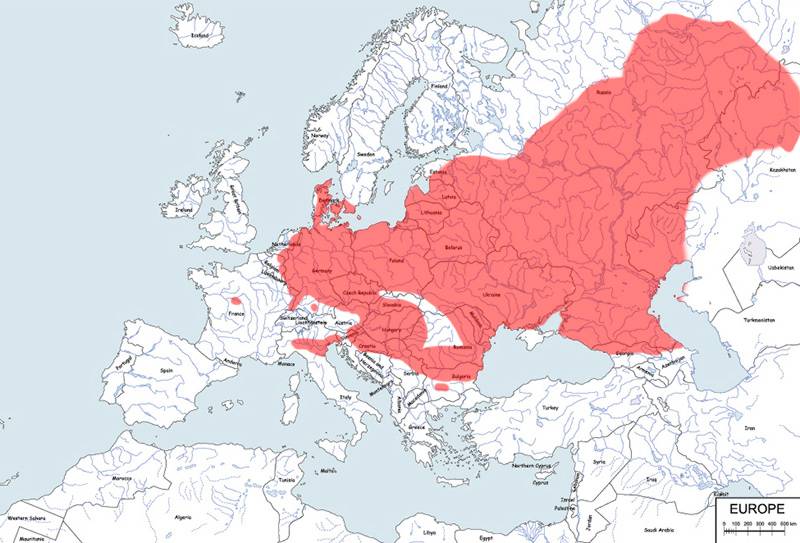grzebiuszka ziemna, huczek - mapa