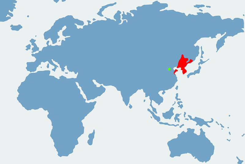 kumak dalekowschodni - mapa